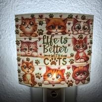 Life Is Better Nightlight