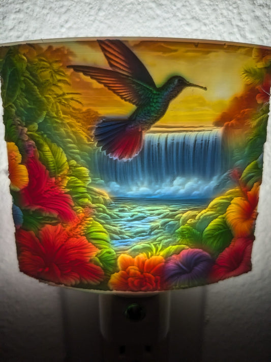 Hummingbird Nightlight